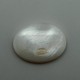 Mother Of Pearl  7.84 Ct Lab Tested